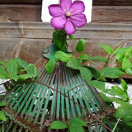 Savikon Kartano Bed and breakfast *