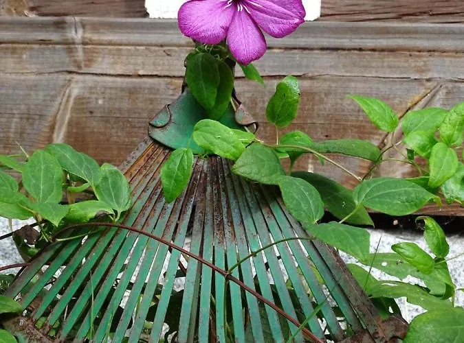 Savikon Kartano Couette-café *